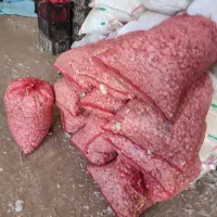 فروش سیر بذری همدان|عمدهفروشی|الوند, |دیوار