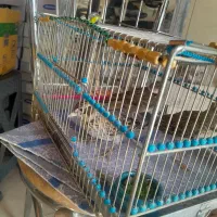 سهره خاکیباز
