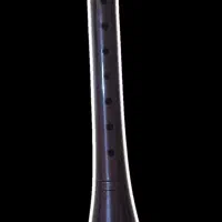 سرنا  * زرنا|سازهای بادی|بجنورد, |دیوار