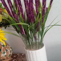 گل کار دست چراغ خواب هم هست
