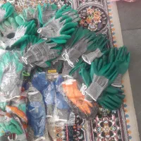 ۷۲جفت دستکش ضخیم لاتکس زیر قیمت|ابزارآلات|میانه, |دیوار