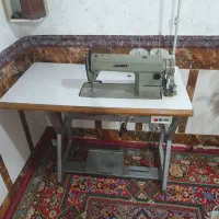 پردیس