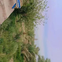 یک-خانه-باغ