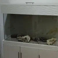 اکواریوم شیشه خم