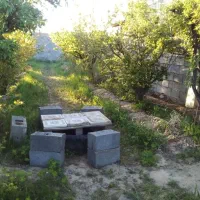 باغ دور دیوار موقعیت مناسب|فروش زمین و ملک کلنگی|کاشمر, |دیوار