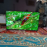 الیدی اسنوا 50 اسمارت هوشمند دیجیتال داخلی|تلویزیون و پروژکتور|تبریز, |دیوار