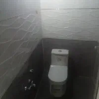 استاکاشی کار.