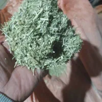 یونجه خشک شده