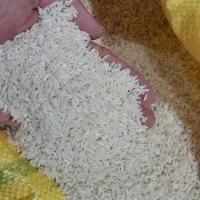 انواع برنج نیم دانه شمال و جنوب درجه یک|خوردنی و آشامیدنی|قم, شهرک امام حسین|دیوار