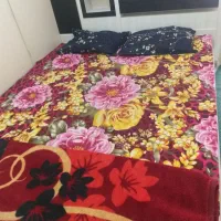 اجاره سوئیت سوئیت آپارتمان|اجارهٔ کوتاه‌مدت آپارتمان و سوئیت|گلستان (تهران), |دیوار