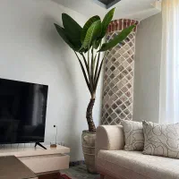 بابا آدم ۲متری طبیعی با گلدان پتینه