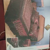 روتختی ۲نفره