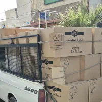 پخش عمده و خرد لیوان کاغذی/قیمت عمده