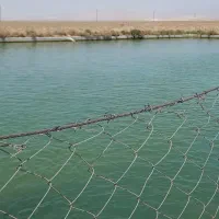 زمین باغی وزوان پشته دانشگاه پیام نور وزوان|فروش زمین و ملک کلنگی|میمه, |دیوار