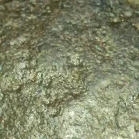 کارشناسی|کلکسیون اشیاء عتیقه|شیراز, قصرالدشت|دیوار