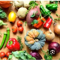 فروش محصولات صیفیجات