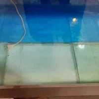 قیمت مناسب و سالم|لوازم جانبی حیوانات|تهران, جوادیه تهرانپارس|دیوار