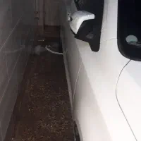 شاهین Gدنده ای|خودرو سواری و وانت|امیدیه, |دیوار