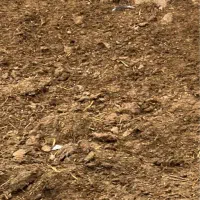 کود گوسفندی پارسالی