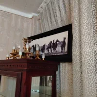 تابلو عکس اسب و عکس  بانو لیلی.