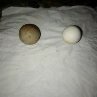 سنگ الماس آسیاب