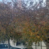 مغازه یا انباری