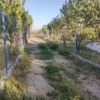 باغ فنس کشی شده|فروش خانه و ویلا|سامان, |دیوار