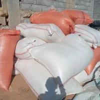 کاه گندم