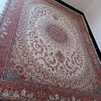 قالی کاشان نو تمیز|فرش|بندر امام خمینی, |دیوار