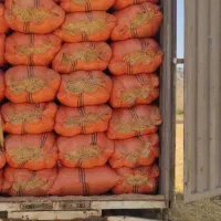 کاه گندم دیم|لوازم جانبی حیوانات|اصفهان, باغ فدک|دیوار