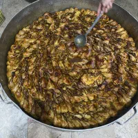 جشنواره تشریفات تالارورستوران مروارید ورودی اقساط|خدمات پذیرایی، مراسم|مشهد, سیسآباد|دیوار