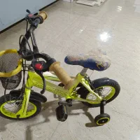 دو عدد دوچرخه