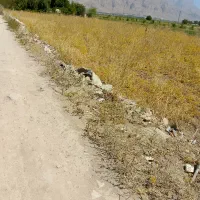 زمین  ۸۰۰ متری سند دار کهریز الهیه|فروش زمین و ملک کلنگی|کرمانشاه, |دیوار