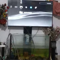 سونی ۳