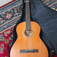 گیتار سالم به همراه وسایل اولیه