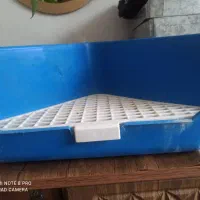 ظرف دستشویی خرگوش