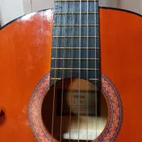 گیتار|گیتار، بیس، امپلیفایر|سنندج, |دیوار