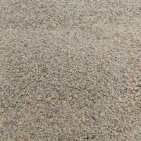 عدس|خوردنی و آشامیدنی|بزینه رود, |دیوار