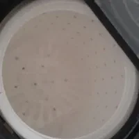 لباسشویی نو فقط کارتون ندارد|ماشین لباسشویی و خشک‌کن لباس|سراوان, |دیوار