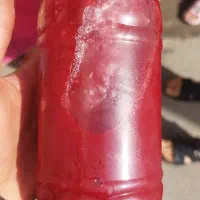 زرشک تازه اعلا بسته بندی شیک کیلوی199 با ارسال|خوردنی و آشامیدنی|مشهد, رسالت|دیوار