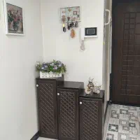 جاکفشی