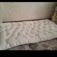 تشک پشمی