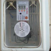 دستگاه جوجه کشی معامله با طوطی ملنگو