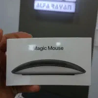 Magic mouse apple