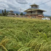 استخدام سرایدار به همراه مسکن در روستای سرطاق