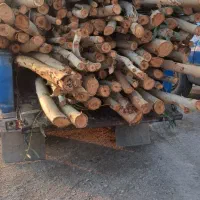 چوب|خدمات باغبانی و درختکاری|شوش, |دیوار