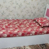 تخت و تشک چوبی|تخت و سرویس خواب|کرمانشاه, |دیوار