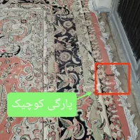 فرش ۵۰۰ شانه مهستان|فرش|گنبد کاووس, |دیوار