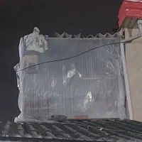 تور بند کبوتر و حیوانات ....|لوازم جانبی حیوانات|بهشهر, |دیوار