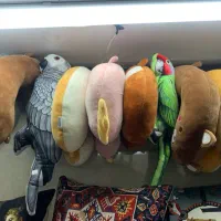 انواع کوسن نشیمن گردنی و|صنایع دستی و سایر لوازم تزئینی|کرج, دهقان ویلا|دیوار